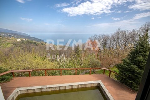 Дом с 4 спальнями в Муреси, Греция №104645 22