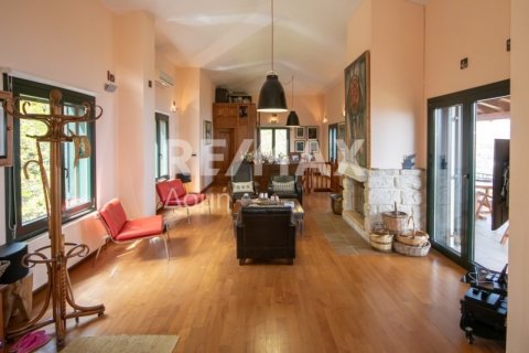 Дом с 4 спальнями в Муреси, Греция №104645 8