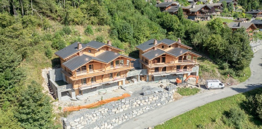 5 bedrooms House in Montriond, France No. 99721