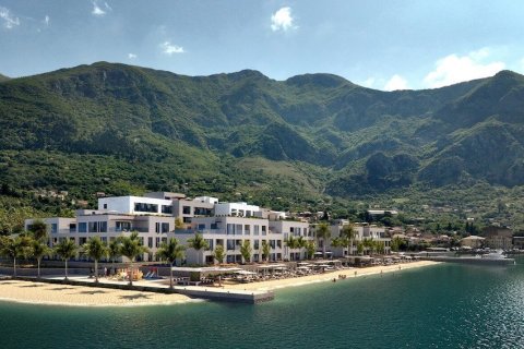 1 bedroom Apartment in Kotor, Montenegro No. 75918 1