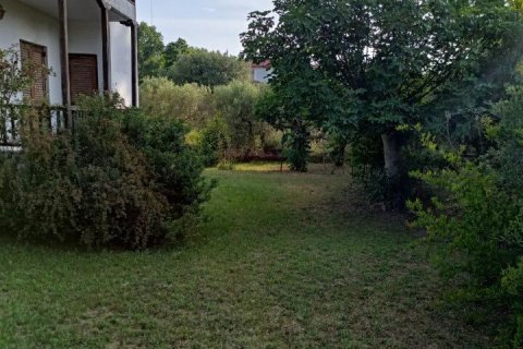 Дом с 2 спальнями в Халкидики, Греция №54279 11