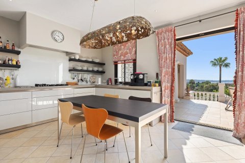 Вилла с 7 спальнями в Канны, Франция №100263 9