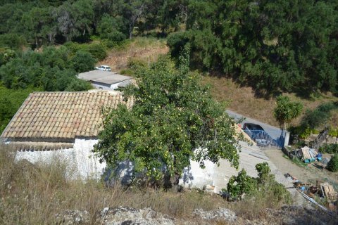 4450m² Land à Corfu, Greece No. 121108 3