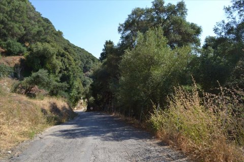 4450m² Land à Corfu, Greece No. 121108 12