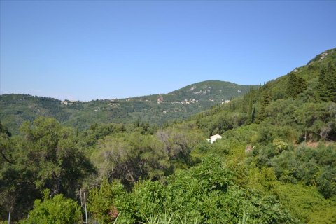 4450m² Land à Corfu, Greece No. 121108 9
