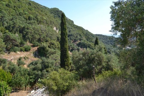 4450m² Land à Corfu, Greece No. 121108 7