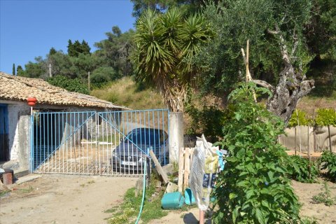 4450m² Land à Corfu, Greece No. 121108 10