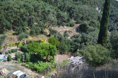 4450m² Land à Corfu, Greece No. 121108 2