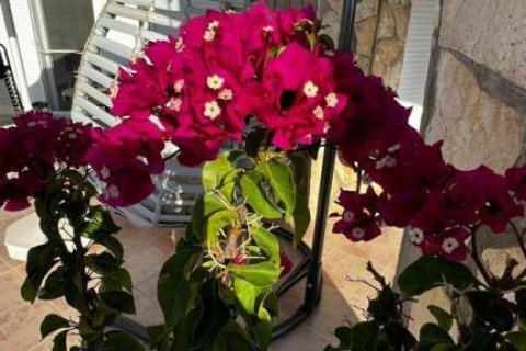 4 rooms Apartment in Lien Chieu, Vietnam No. 21462 16