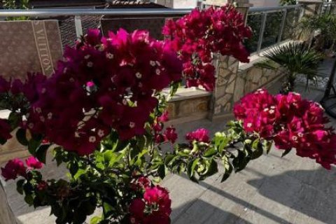 4 rooms Apartment in Lien Chieu, Vietnam No. 21462 15