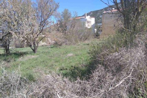 2500m² Land in Chortiatis, Greece No. 56058 3