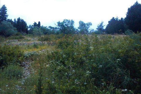 4280m² Land in Corfu, Greece No. 59175 2