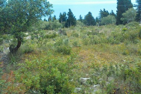 4280m² Land in Corfu, Greece No. 59175 4