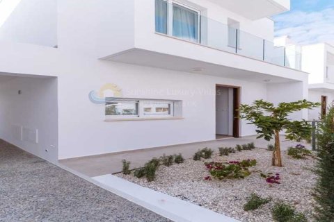 3 bedrooms Villa in Pegeia, Cyprus No. 76804 1