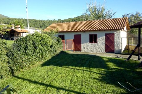 5 dormitorios House en Florina, Greece No. 59332 25