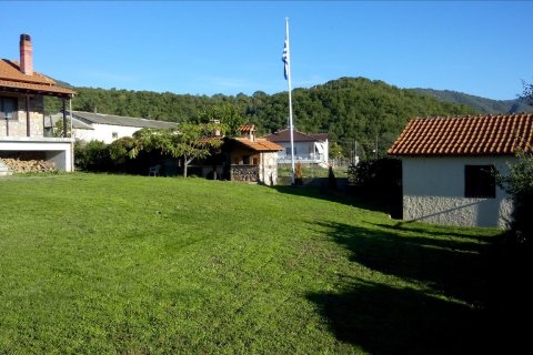 5 dormitorios House en Florina, Greece No. 59332 5