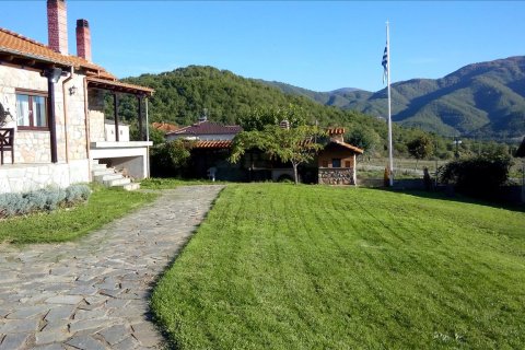 5 dormitorios House en Florina, Greece No. 59332 6