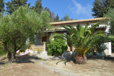 Business in Zakynthos, Greece No. 60097 2