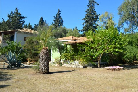 Business in Zakynthos, Greece No. 60097 1