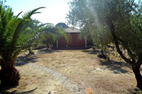 Business in Zakynthos, Greece No. 60097 5