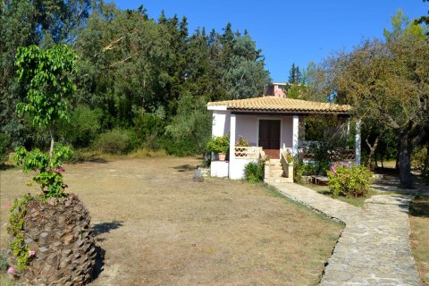 Business in Zakynthos, Greece No. 60097 4