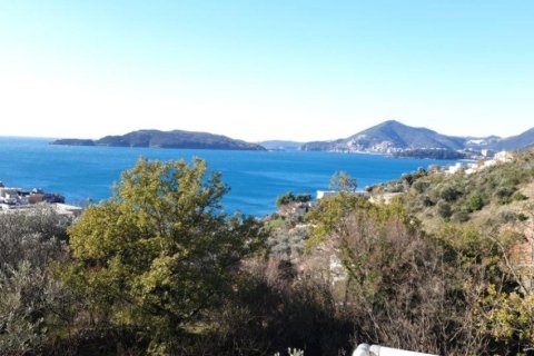 1 bedroom Apartment in Budva, Montenegro No. 66833 12