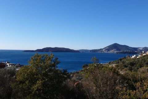 1 bedroom Apartment in Budva, Montenegro No. 66833 14