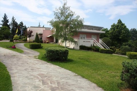 Вилла с 7 спальнями в Терми, Греция №54817 23