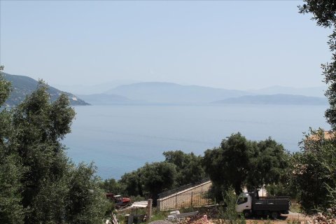 20000m² Land in Corfu, Greece No. 60329 4
