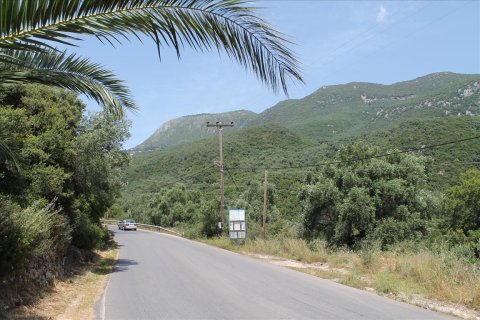 20000m² Land in Corfu, Greece No. 60329 2