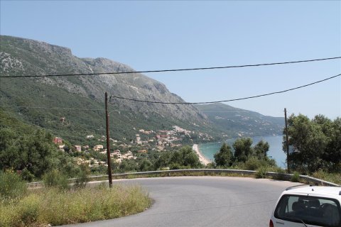 20000m² Land in Corfu, Greece No. 60329 3