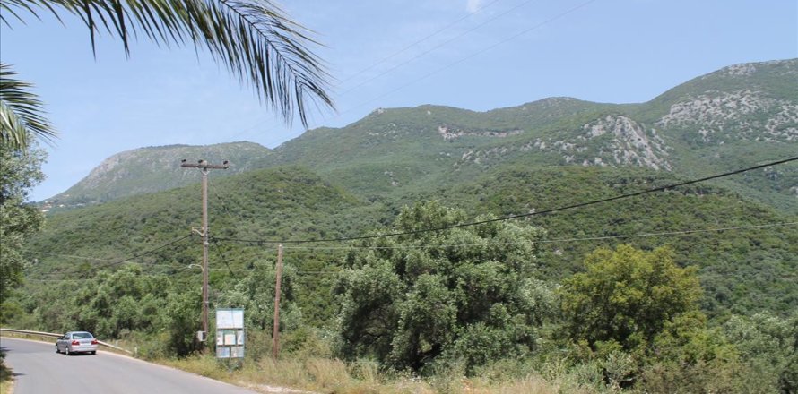 20000m² Land in Corfu, Greece No. 60329