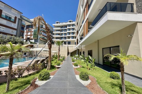 3 bedrooms Apartment in Chau Lang, Vietnam No. 11014 26