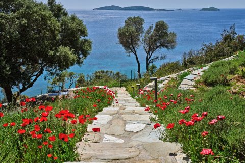 7 dormitorios Villa en Andros, Greece No. 75244 3