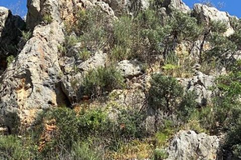 6 rooms Appartement à Tri Phuong, Vietnam No. 21941 26