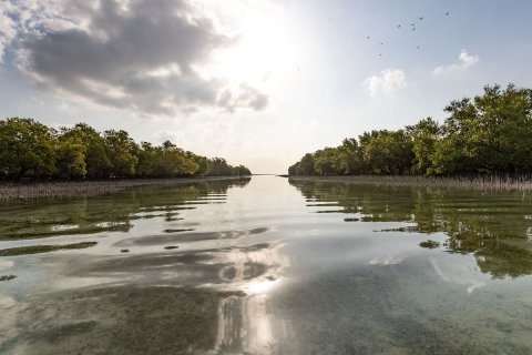 3 chambres Townhouse à Binh Duong, Vietnam No. 44265 9