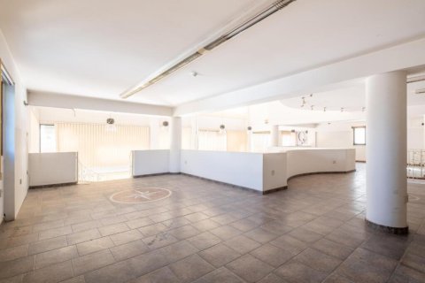 485m² Commercial property en Nicosia, Cyprus No. 105071 6
