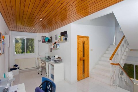 Studio Villa in Limassol, Cyprus No. 105621 12