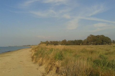 Land in Elis, Greece No. 28112 3