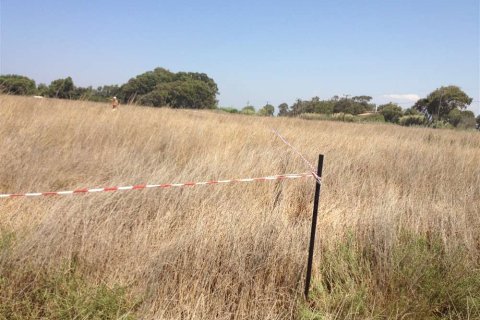 Land in Elis, Greece No. 28112 13