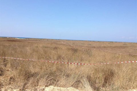 Land in Elis, Greece No. 28112 14