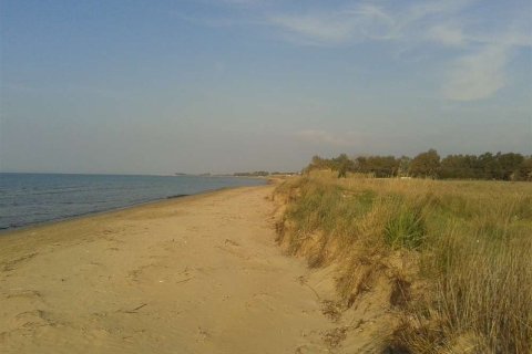 Land in Elis, Greece No. 28112 4