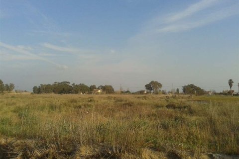 Land in Elis, Greece No. 28112 2