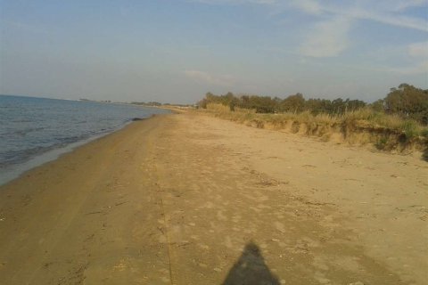 Land in Elis, Greece No. 28112 7