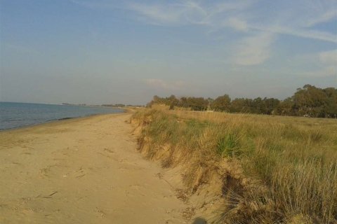 Land in Elis, Greece No. 28112 1