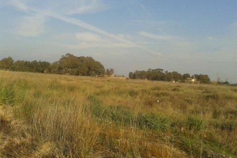 Land in Elis, Greece No. 28112 8