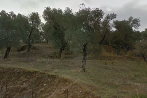 24783m² Land en Lesbos, Greece No. 124319 2