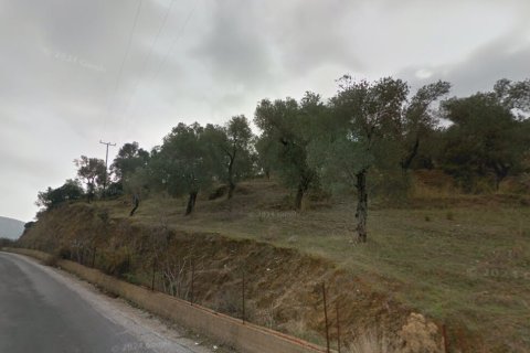 24783m² Land en Lesbos, Greece No. 124319