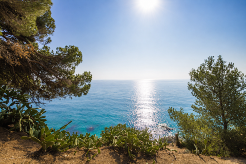 Land en Arenys de Mar, Spain No. 27221