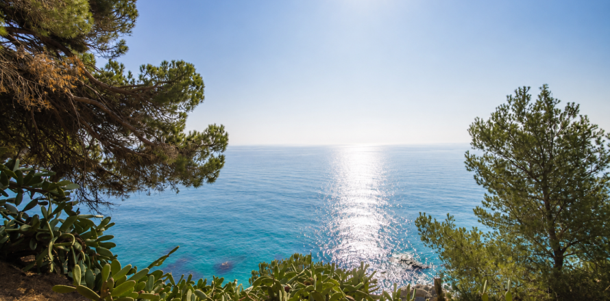 Land en Arenys de Mar, Spain No. 27221
